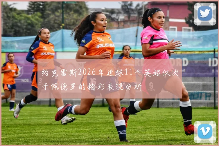 约克雷斯2026年进球11个英超仅次于佩德罗的精彩表现分析